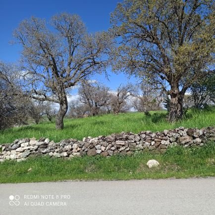 sdtdgn47's profile picture. Hey insan.

Dar li ser koka xwe şwin dibin.Mirov û Millet li ser Ziman û Çanda xwe ...