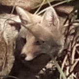 ajfjabwn's profile picture. 