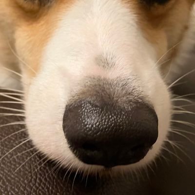 ハルさんのプロフィール画像