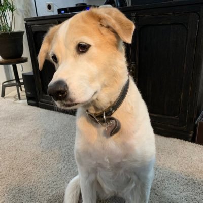 TolleyBillpv's profile picture. I'm Billy Tolley of "Ghost Adventures" on Discovery. A positive person. 😉 Be nice to your fellow human, The result might surprise you.