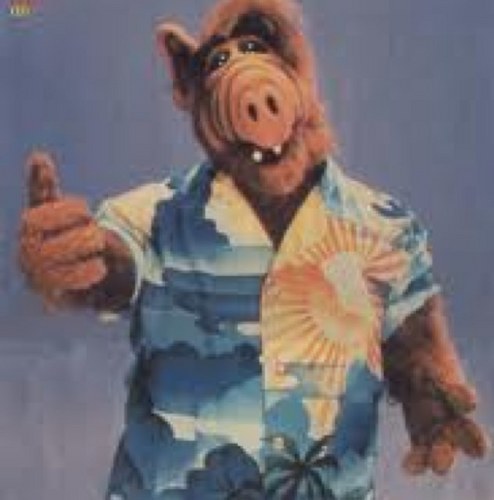 ALFbikerdawg's profile picture. 