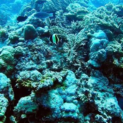 XLCqq5zP7Bt8CV4's profile picture. 