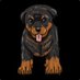 Jeremiah Smith (@jeremiahs1794) Twitter profile photo Jeremiah Smith (@jeremiahs1794) Twitter profile photo