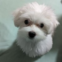 レイ♀ (@takacchi0416) 's Twitter Profile