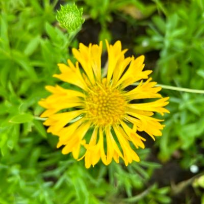 xiii_harmony's profile picture. Listen!😌,smile!😁,agree!👊🏽,and then do whatever the f**k you were gonna do anyway Mufc🛑 *web designer📡🖥 , *graphic artist🏖, *Forex trader📈