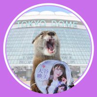 めもちゃん (@dwgmh) 's Twitter Profile
