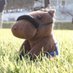 Lou (@lou_horsephoto) Twitter profile photo Lou (@lou_horsephoto) Twitter profile photo
