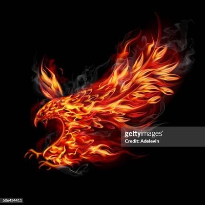 REDBIRD20001008's profile picture. 最近YouTubeとXを始めたばかりです！
ぜひフォローとチャンネル登録お願いします🙏🙇‍♀️YouTubeはRED BIRD自己紹介で検索！