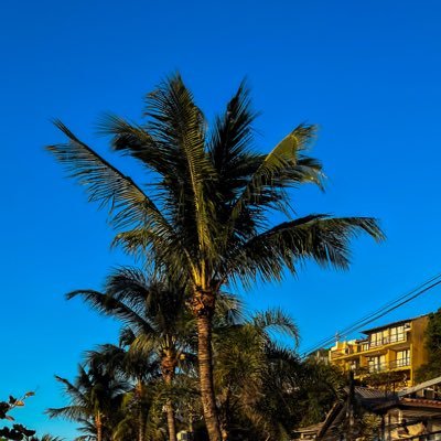 mica_data's profile picture. 📊