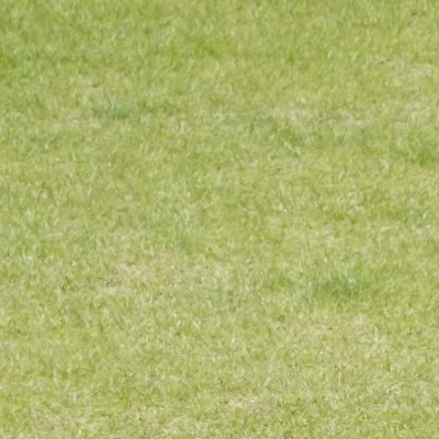 isshoninukinuki's profile picture. すごい女の子たちの動画を紹介します～～