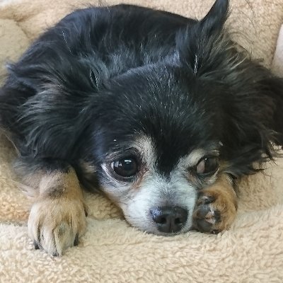 HALさんのプロフィール画像