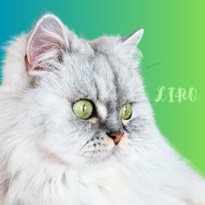 liroforeverlove Profile Picture