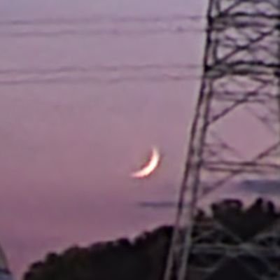つせさんのプロフィール画像