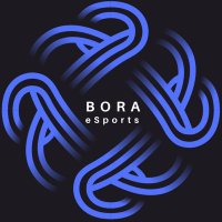 Bora eSports(@Bora_Esports) 's Twitter Profile Photo