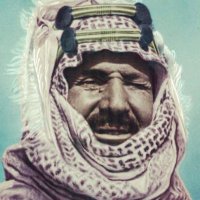 أبوفيصل الدوسري(@IbDosary) 's Twitter Profile Photo