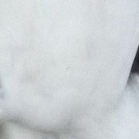 Monsoonsiren (@monsoonsiren) 's Twitter Profile