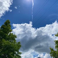 たぴたて (@tapi_tate) 's Twitter Profile