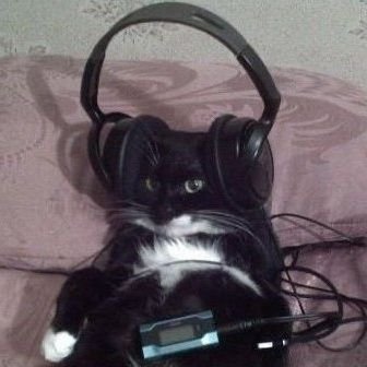 Me gusta fumar porros y la Coca-Cola
(soy un gato lo juro chat)
yo ahora vengo aquí a poner mis fumadas
CC: @gilipollasakuma