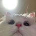 (ﾉ´ヮ`)ﾉ*: ･ﾟ (@mamanongjane) Twitter profile photo