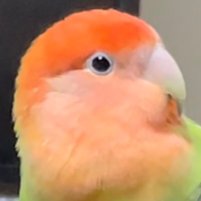 Aさんのプロフィール画像