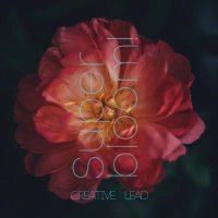 🎗Superbloom!™️ Creative (@super8loom) 's Twitter Profile