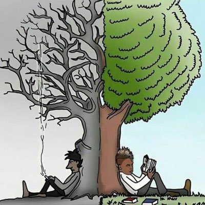 aniltha13221749's profile picture. 