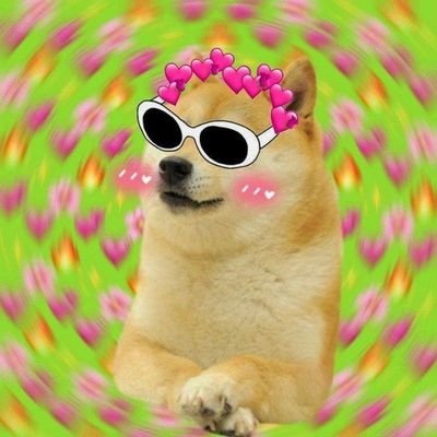 berozgaarhubhai's profile picture. 