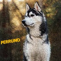 thorx .fuel 🛸 🛡️🐐)🟩 .plena ZEEK🦭/acc .ink (@jusivax) 's Twitter Profile Photo thorx .fuel 🛸 🛡️🐐)🟩 .plena ZEEK🦭/acc .ink (@jusivax) 's Twitter Profile Photo