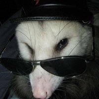 yeehaw 🦨(@cntblssm) 's Twitter Profile Photo