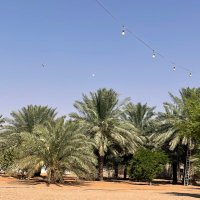 شباب بن فيصل ال بقيران (@shabbab216) 's Twitter Profile Photo