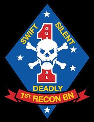 An ArmA 3 unit based off the real life counterpart of the USMC. A realistic milsim experience.
NOT AFFILIATED WITH THE OFFICIAL 1ST RECON BN./DoD.