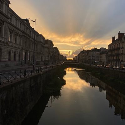 thibault350's profile picture. 