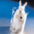 pykycugi's profile image