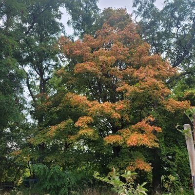 Poverty Advocate across Canada. Mutual Aid Helper ❤️
Helping the Canadian #mutualaid cause with @nejsnave
Dm us to connect ❤️ mutualaidcookie@outlook.com