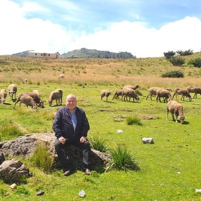 RokaelR's profile picture. Soy un Profesor que he trabajado toda mi vida por la descentralización y la autonomía municipal. Mis raices están en mi bello Aguacatan Huehuetenango