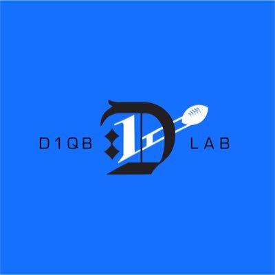 D1QBLAB Profile Picture