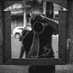 naturally.9G (@naturally_9g) Twitter profile photo naturally.9G (@naturally_9g) Twitter profile photo