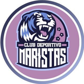 Cuenta oficial del Club Deportivo Maristas Sevilla. Educando a través del deporte en @maristasevilla #gogotigers ⚽️🏀🏐