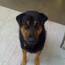 parry annis - @_windowsolution - Twitter