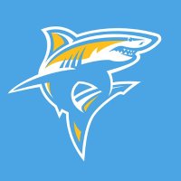 LIU Women's Basketball (@sharkswbb) 's Twitter Profile