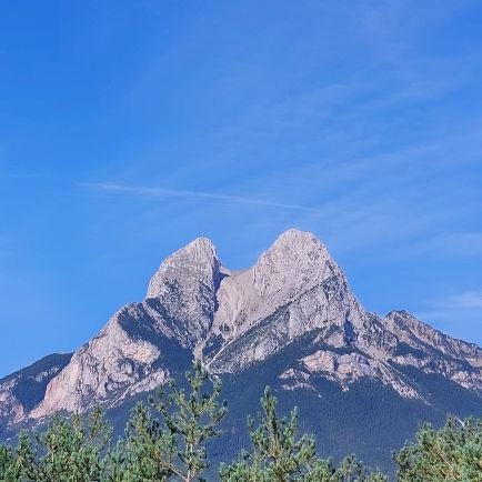 sandra_svi's profile picture. 🚫useful idiots