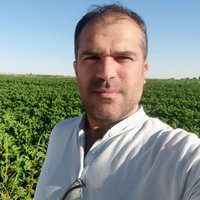Mehmet Halhalli (@halhalli_x) 's Twitter Profile