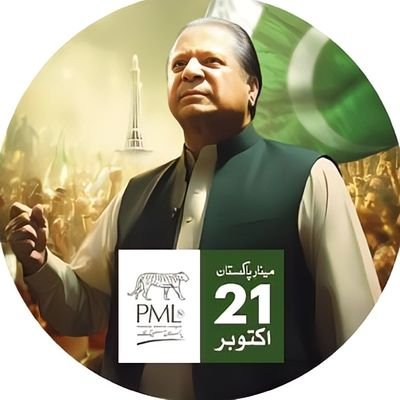 Social Activist / Pmln Zindabad ♥️🇵🇰