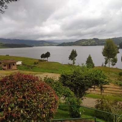 sonii_08's profile picture. El dolor está en nuestra vida cotidiana, en el sufrimiento escondido, en la renuncia que hacemos y culpamos al amor por la derrota de nuestros sueños.