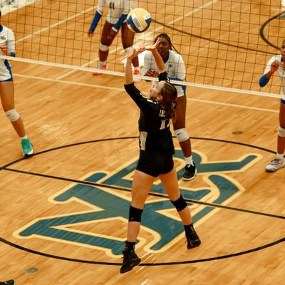 2026 S/RS | working to be 1% better everyday.
LRCH 26'
#17 | IG: Syd_CrowderVolley
email: s.crowdervolleyball2026@gmail.com