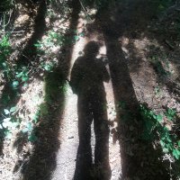 Matt White (@rizzo_white) 's Twitter Profile