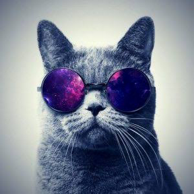 MaresLuisi67917's profile picture. 