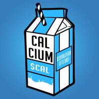Calcium | $CAL(@CalciumERC) 's Twitter Profileg