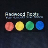 redwoodroots.family(@Redwoodrootsfam) 's Twitter Profile Photo