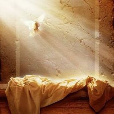 CesIbarburo's profile picture.